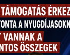 Új támogatás érkezik havonta a nyugdíjasoknak! Itt vannak a pontos összegek :