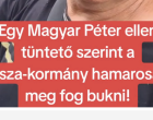 A tüntető mondatai megmutatták, milyen lelkiállapotban van a Fidesz tábora
