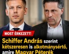Schiffer András: kétszeresen is alkotmánysértő, amire Magyar Péterék készülnek