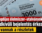 Nyugdíjas élelmiszer-utalványok: rendkívüli bejelentés érkezett, itt vannak a részletek