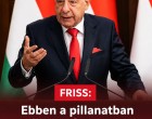 Ebben a pillanatban jött a hír Sulyok Tamásról, meglépte !