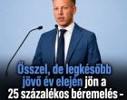 Ősszel, de legkésőbb jövő év elején jön a 25 százalékos béremelés – közölte Magyar Péter