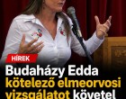 Budaházy Edda kemény bejegyzésben ment neki Magyar Péternek