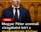 Magyar Péter azonnali vizsgálatot kért a munkavégzés közben meghalt postások ügyében