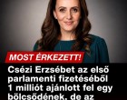 Csézi Erzsébet az első parlamenti fizetéséből 1 milliót ajánlott fel egy bölcsődének, de az önkormányzat rögtön...