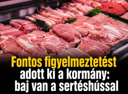 Fontos figyelmeztetést adott ki a kormány: baj van a sertéshússal