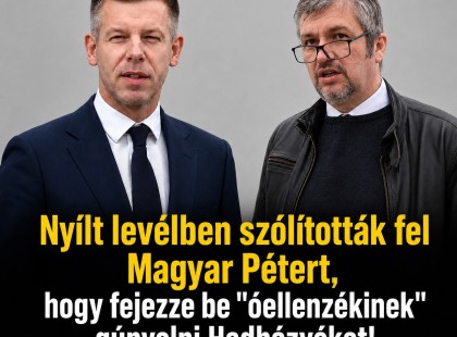 Nyílt levélben szólították fel Magyar Pétert, hogy fejezze be „óellenzékinek” gúnyolni Hadházyékat
