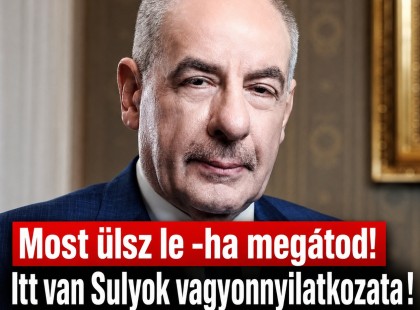 Most ülsz le -ha megátod! Itt van Sulyok vagyonnyilatkozata ! Ennyi pénze van!