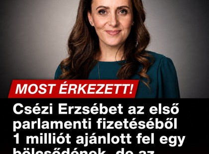 Csézi Erzsébet az első parlamenti fizetéséből 1 milliót ajánlott fel egy bölcsődének, de az önkormányzat rögtön...