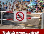 Vészjelzés érkezett: „húsevő baktérium” terjedhet a vízben, strandokat zártak le! 👇𝐂𝐢𝐤𝐤 𝐚 𝐡𝐨𝐳𝐳𝐚́𝐬𝐳𝐨́𝐥𝐚́𝐬𝐨𝐤𝐧𝐚́𝐥!