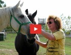 Levideózták Demjén Ferenc káprázatos vidéki birodalmát ! Itt aztán fel lehet töltődni!
