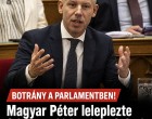 Magyar Péter leleplezte Orbán szerbiai mulatozásának részleteit! Cikk a hozzászólásoknál! 👇