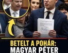 Betelt a pohár:Magyar Péter durván helyretette Toroczkait .