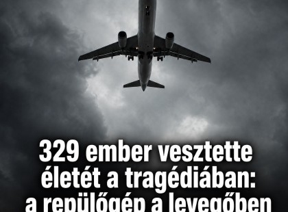 329 ember vesztette életét a tragédiában: a repülőgép a levegőben robbant fel