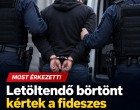 Letöltendő börtönt kértek a fideszes politikus unokaöccsére és annak volt feleségére