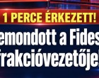 1 PERCE ÉRKEZETT! Lemondott a Fidesz frakcióvezetője ❗❗