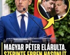 Magyar Péter elárulta, szerinte ebben hasonlít a Fidesz az olasz maffiához!