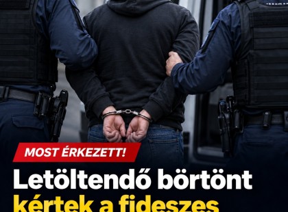Letöltendő börtönt kértek a fideszes politikus unokaöccsére és annak volt feleségére