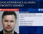 Matolcsy Ádám György ellen adtak ki elfogatóparancsot