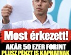 Akár 50 ezer forint plusz pénzt is kaphatnak a nyugdíjasok – mutatjuk a feltételeket