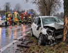 Szívszorító, de halálos áldozata is van a történteknek – Ő vesztette életét a tragédiában A cikk kommentben