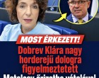 Dobrev Klára nagy horderejű dologra figyelmeztetett Matolcsy őrizetbe vételével kapcsolatban!