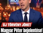 ÚJ TÖRVÉNY JÖHET! Magyar Péter bejelentése! EZ lesz, ha tetszik, ha nem!