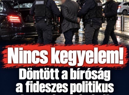 Nincs kegyelem!Döntött a bíróság a fideszes politikus letartóztatásáról