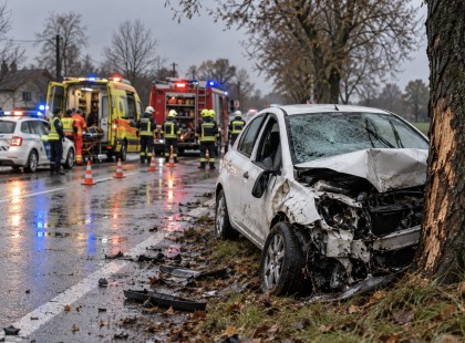 Szívszorító, de halálos áldozata is van a történteknek – Ő vesztette életét a tragédiában A cikk kommentben