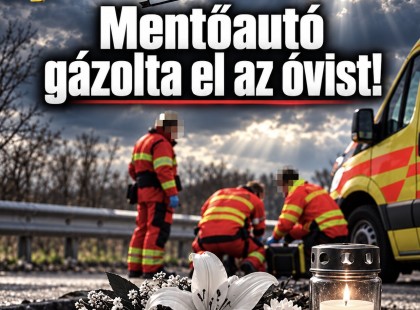 Mentőautó gázolta el az óvist! Brutális részletek a hozzászólásban!