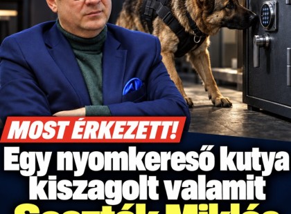 Egy nyomkereső kutya kiszagolt valamit Seszták Miklós széfjénél!Mutatjuk